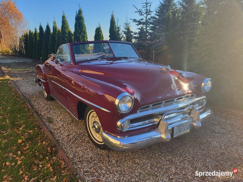 Dodge Wayfarer Wałcz