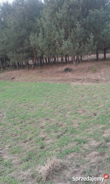 spokojne miejsce Arciechówek