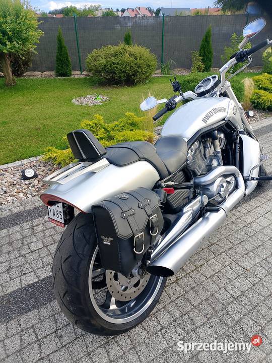 Harley Davidson Harley-Davidson Wołów