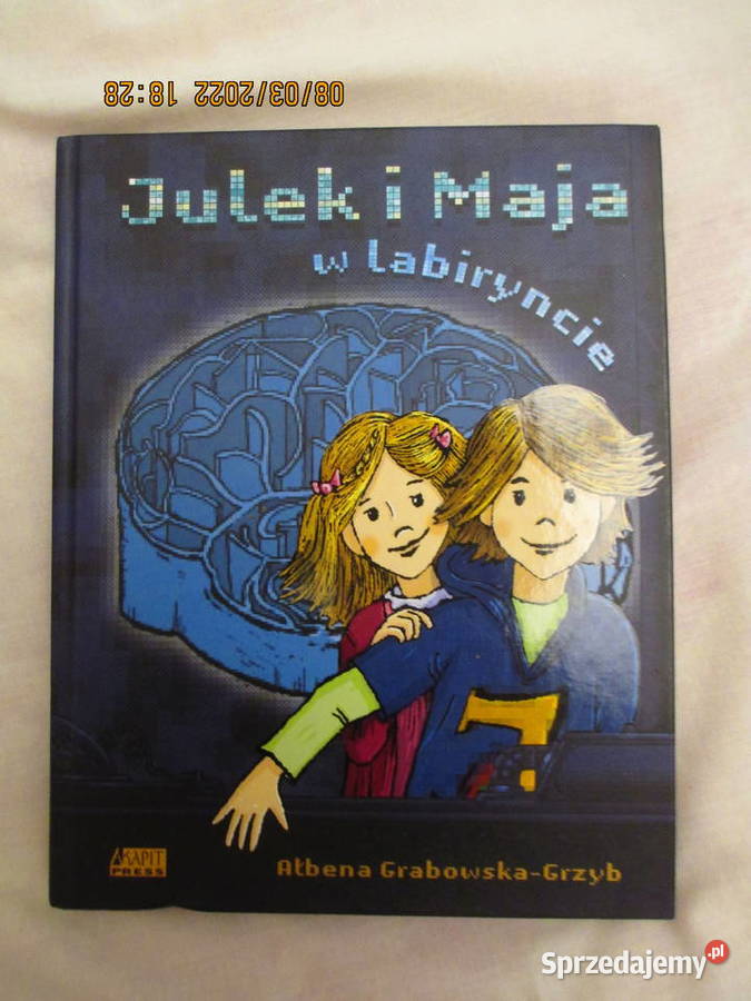 Julek i Maja w labiryncie twarda mazowieckie Warszawa sprzedam