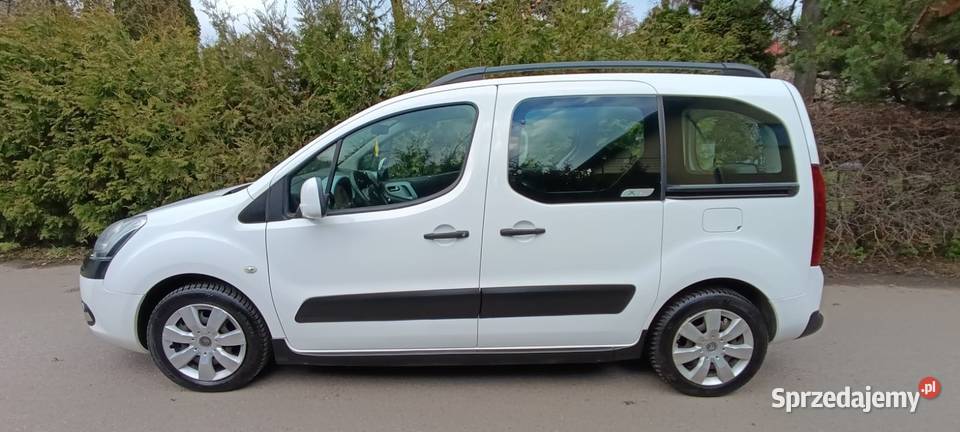 100 Bezwypadkowy oryginalny przebieg Puławy