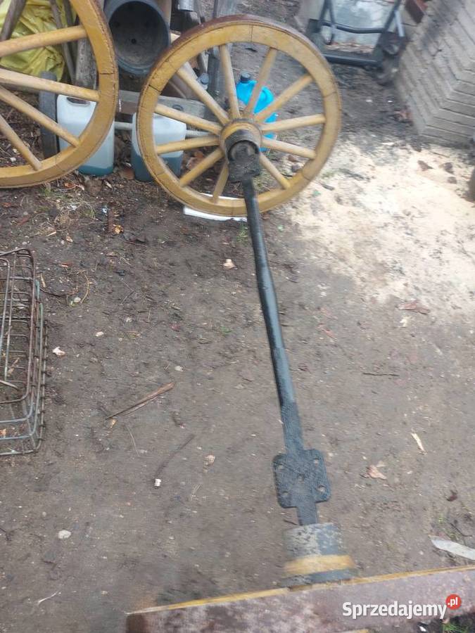 Kola do bryczki konnej Augustów