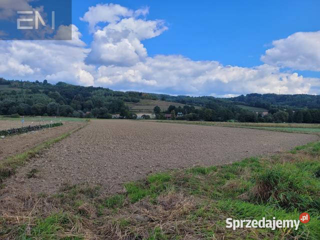 sprzedaży działki Godowa 6159m2 podkarpackie