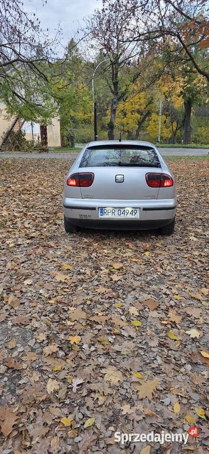 Leon 19 tdiklimatyzacja podkarpackie Przemyśl