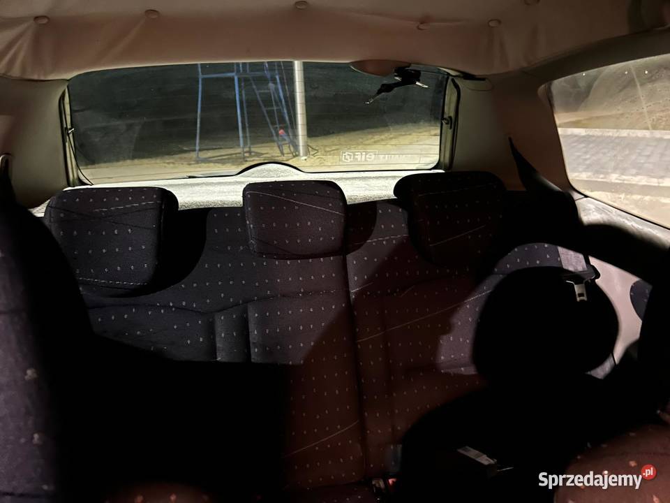 Mały Szerszeń świętokrzyskie Busko-Zdrój sprzedam