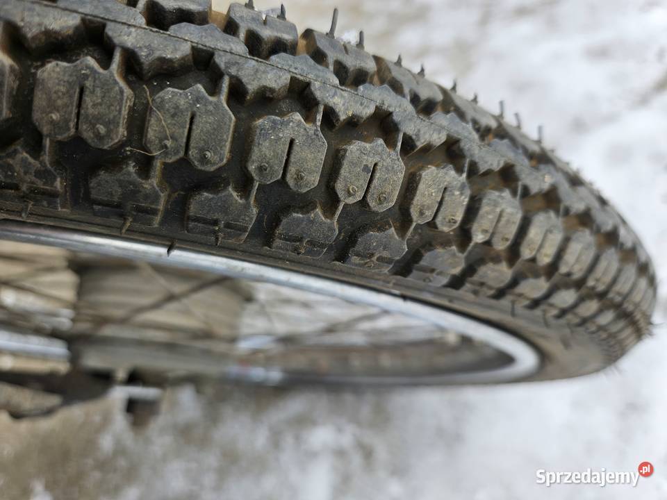 Komar dolnośląskie Pielgrzymka