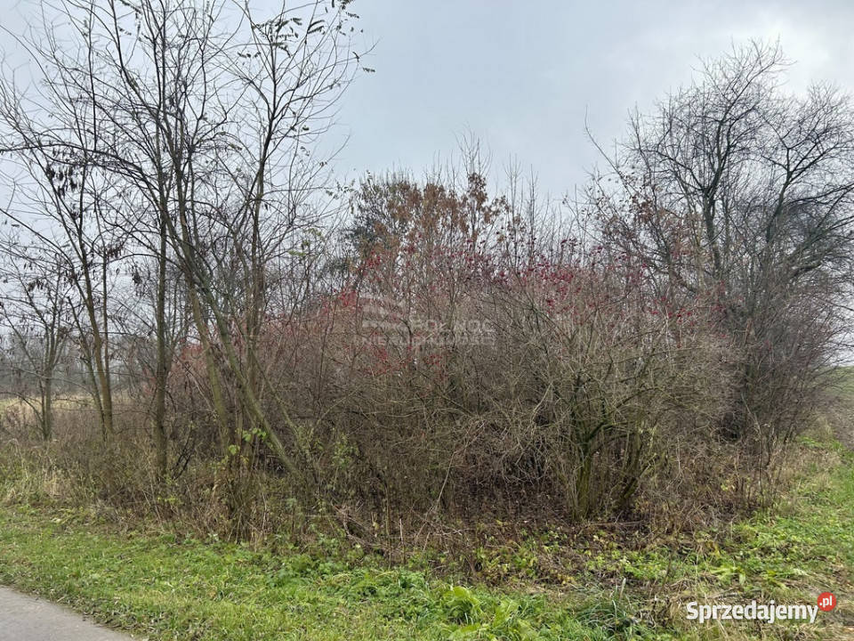 Działki rolneTymin Sprzedaż Tymin