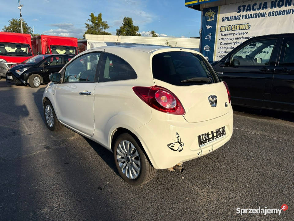 Ford KA Ford KA 12 Champions Edition Klima biały dolnośląskie Syców sprzedam