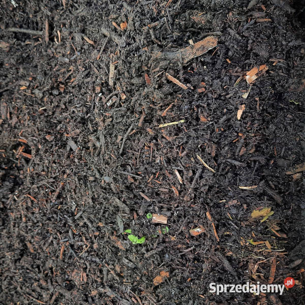 Substrat Humusowy z Kompostowanych Pozostałości dolnośląskie Źródła