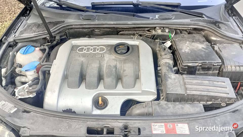 Audi A3 19 TDI 105 Rok produkcji 2004 A3 Kiernozia
