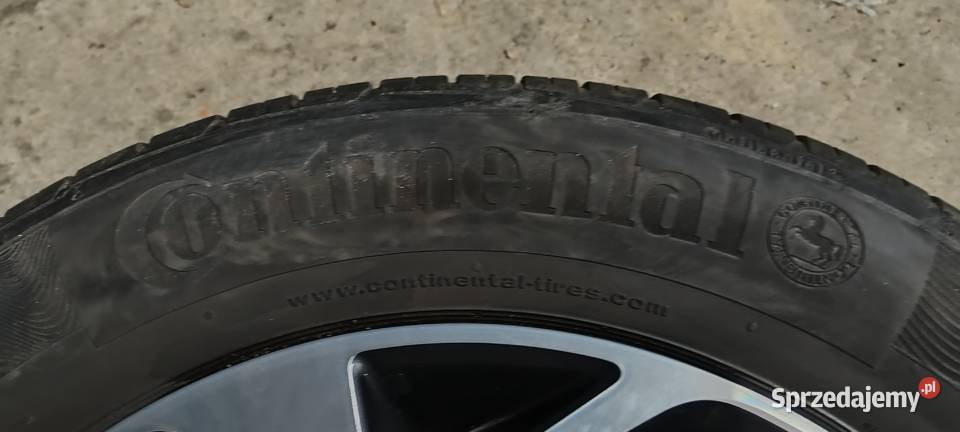 Felgi 175x1143 Kia Sportage Kalisz