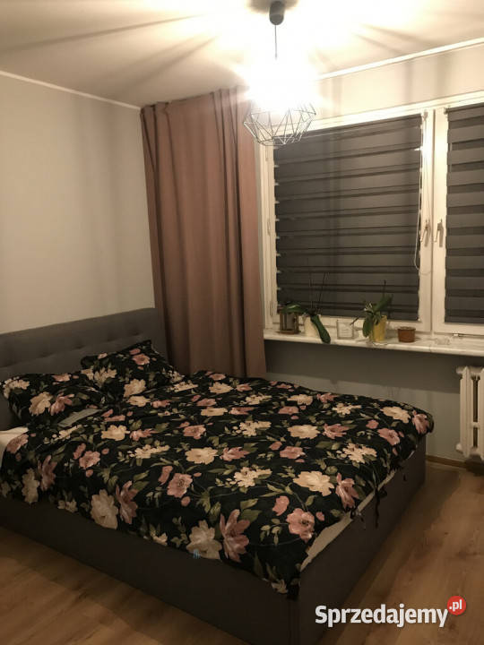 Na sprzedaż mieszkanie 3 pokojowe Opole ZWM Liczba pokoi 3