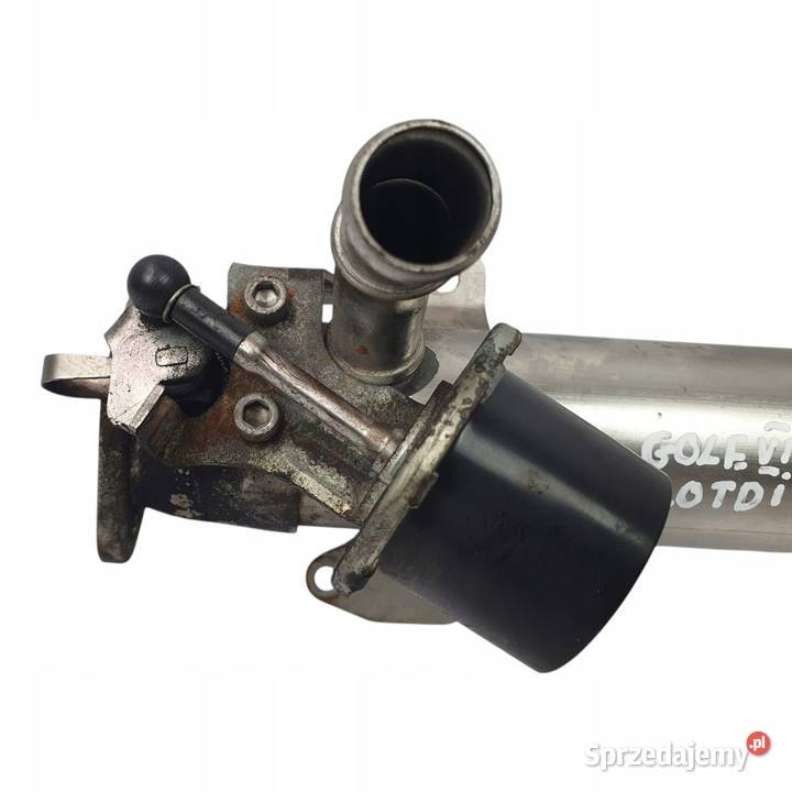 CHŁODNICA SPALIN VW Passat B6 20 TDI 03L131512B Chełm