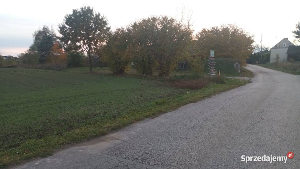 Sprzedam działkę budowlaną z laskiem sosnowym Godów