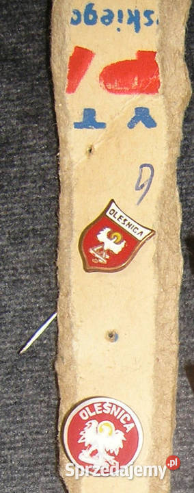 przypinka pinsa vintage herb miasta OleśnicaDd Bartków