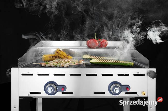 Grill Green Fire Profi Line 2 palnikowy 149621 Tarnów