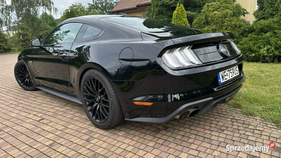 Ford Mustang Przasnysz