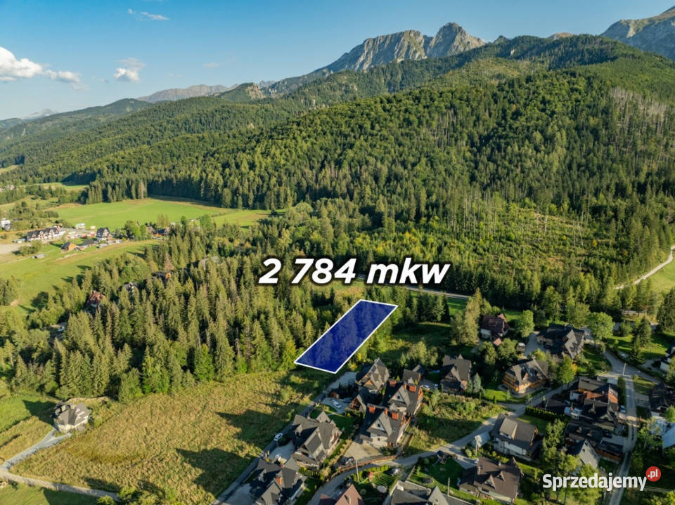 Działka RolnoLeśna 2784 m Kościelisko Gronik