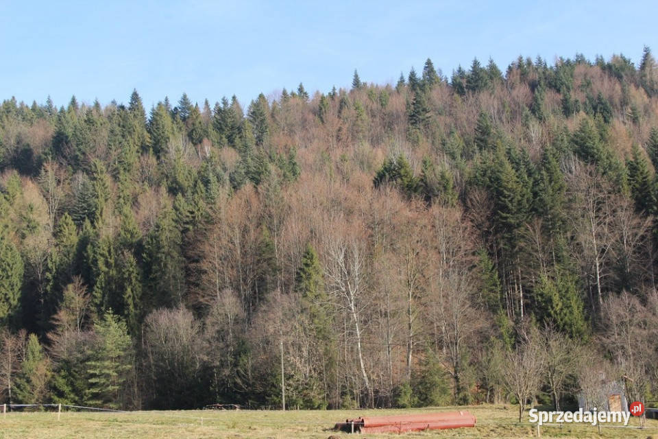 Działka budowlano rolna w miejscowości Grywałd sprzedam