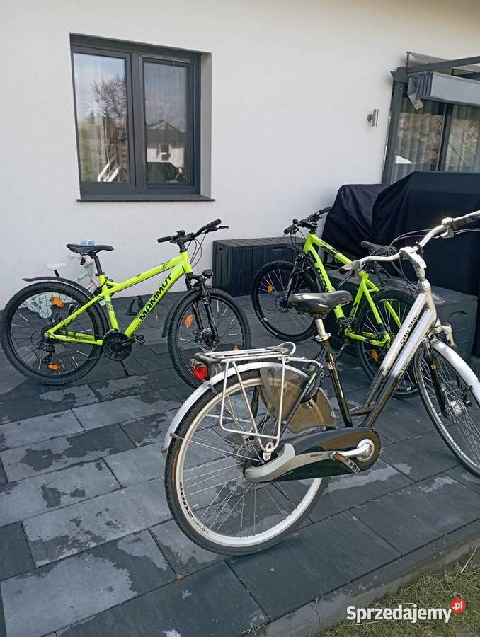 Rowery damskie męskie mtb Perzów