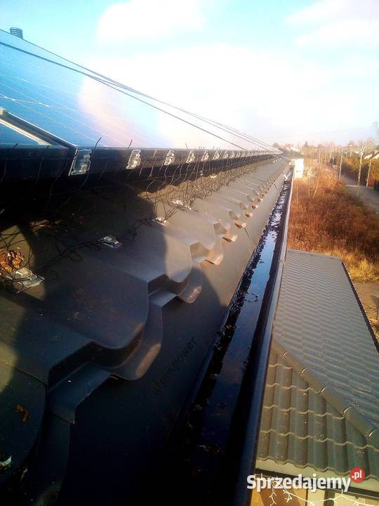 Ochrona systemów fotowoltaicznych przed ptakami Warszawa