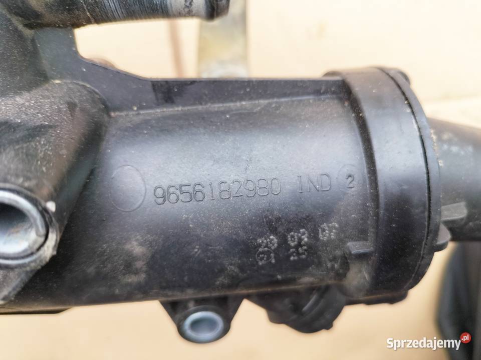 CTROEN PEUGEOT 307 20 HDI 9656182890 OBUDOWA osobowe lubelskie