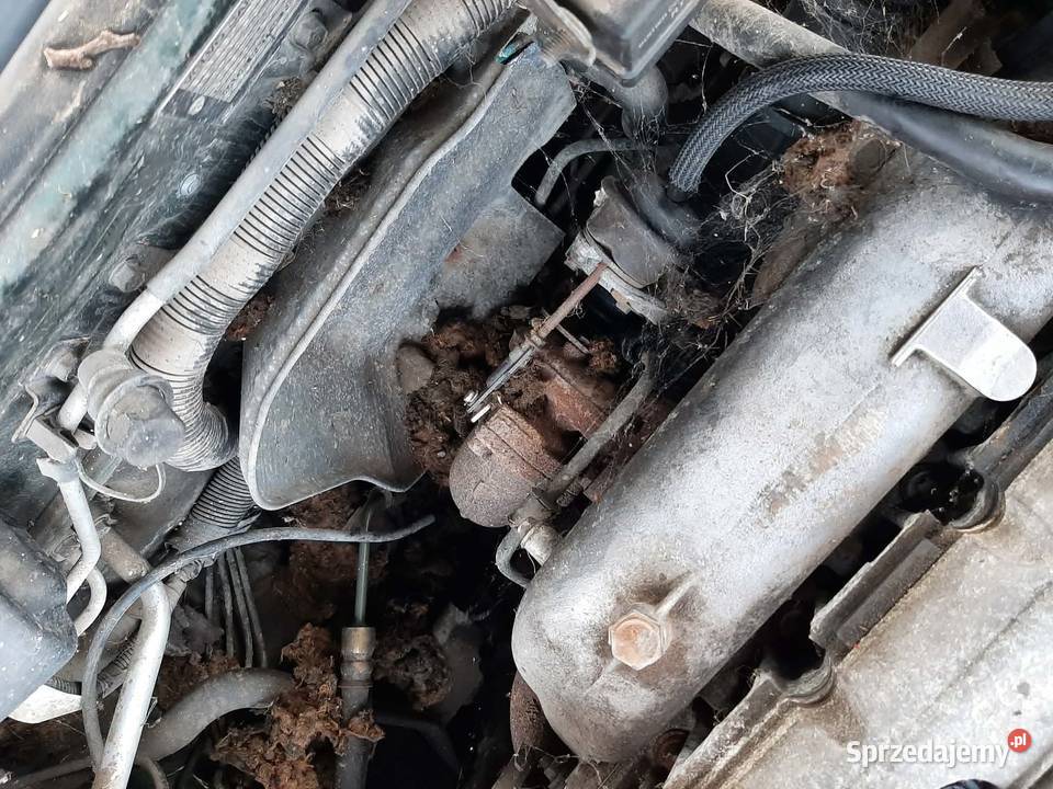 Volvo całe na części silnik diesel Dębica sprzedam