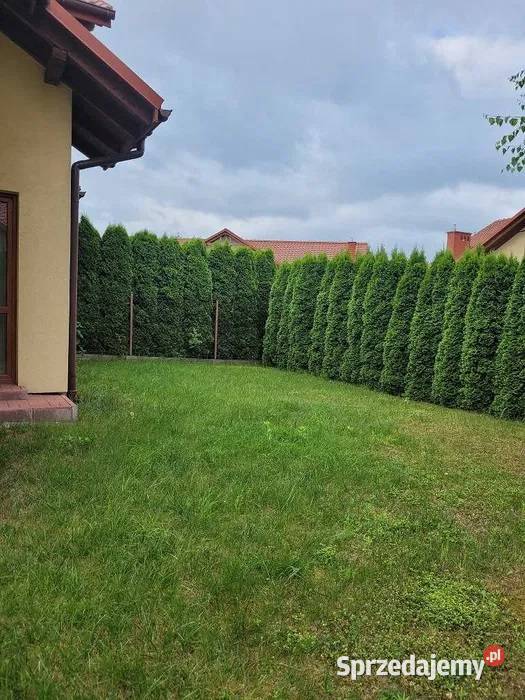 Sprzedam dom mieszkalny jedn w zabudowie Nowy Sącz