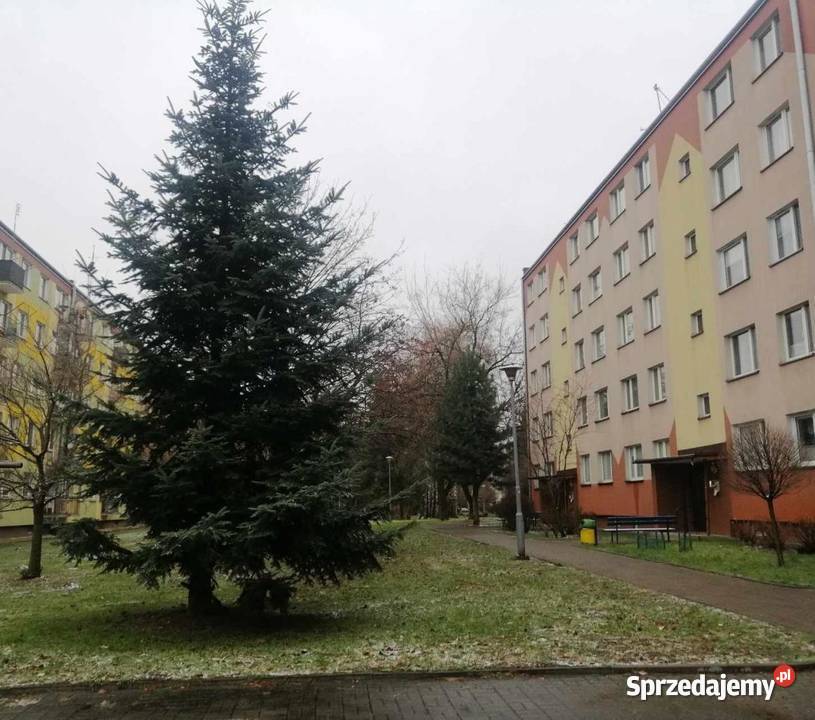 Sprzedam mieszkanie 63 m2 Jarosław