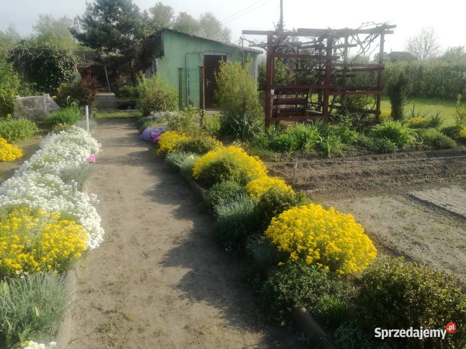 ogródek działkowy Nowa Sól sprzedam