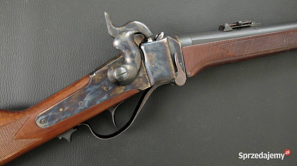 karabin czarnorochowy Sharps IAB Gardone kal 45 pomorskie Chojnice