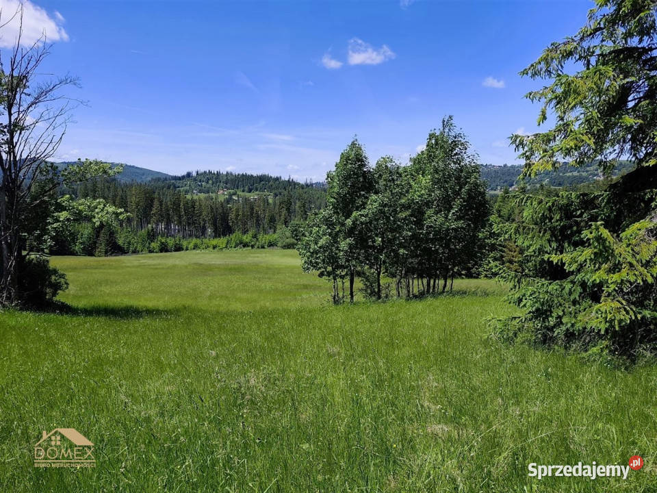 Działka Laliki 1519m2 sprzedam