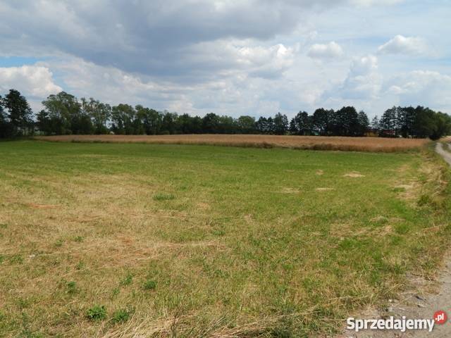 Ziemie 2h Grunty i działki kujawsko-pomorskie