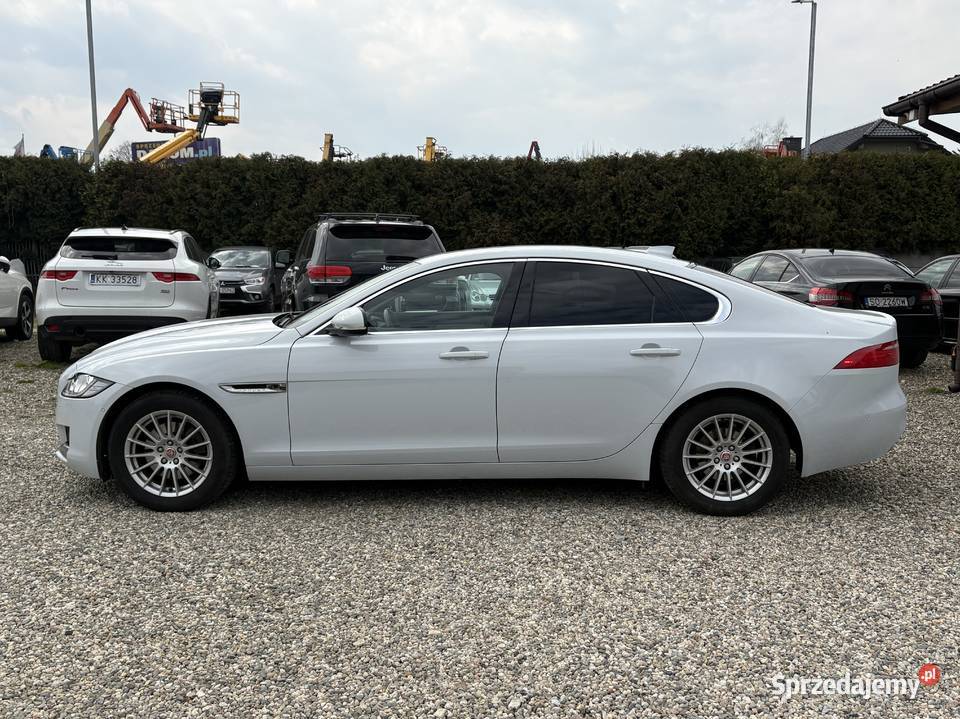 Jaguar XF GWARANCJA Rok produkcji 2017 Paniówki