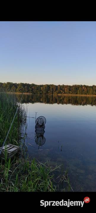 Działka jeziorem Dymaczewo Nowe Własnościowa