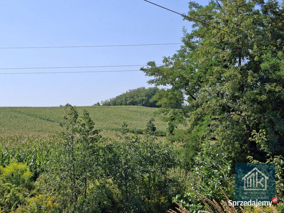 sprzedaży gruntu Bodzanów 8100m2 małopolskie