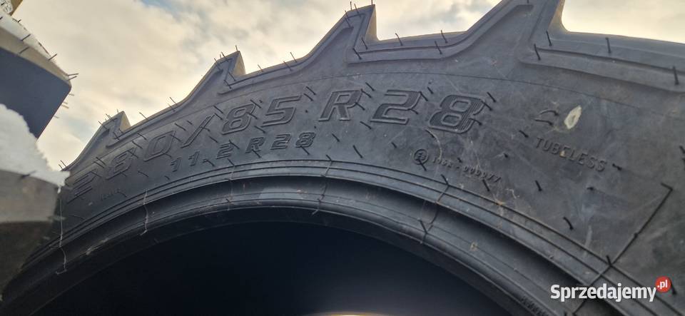 28085r28 112r28 11228 Cultor Kleber 2022 Nowe warmińsko-mazurskie Nowe Miasto Lubawskie