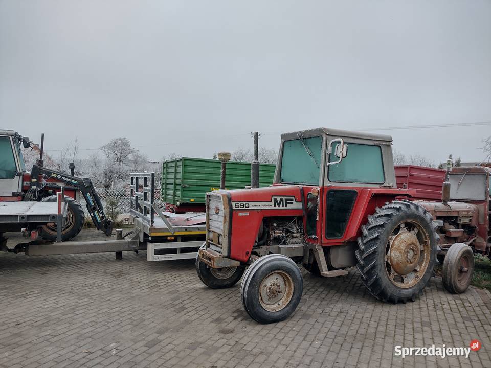 Ciągnik rolniczy Massey Ferguson 590 sprowadzony Massey Ferguson Sośno