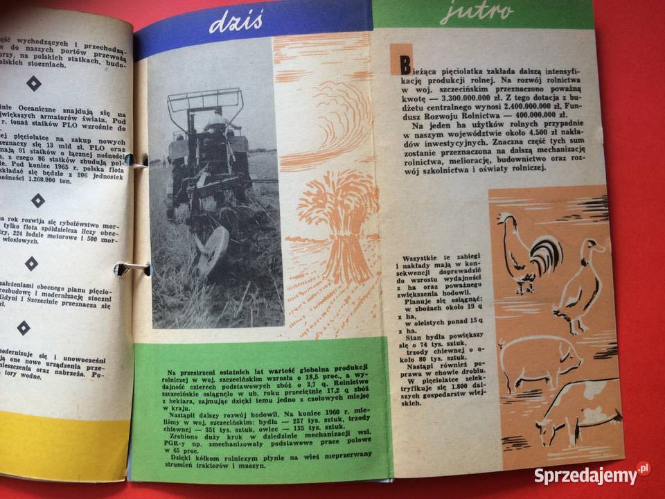 2569 Informator Frontu Jedności Narodowej Szczecin