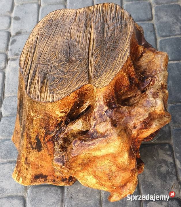 Obrzęk czeczota brzozowa okorowany materiał Opał Radzyń Podlaski