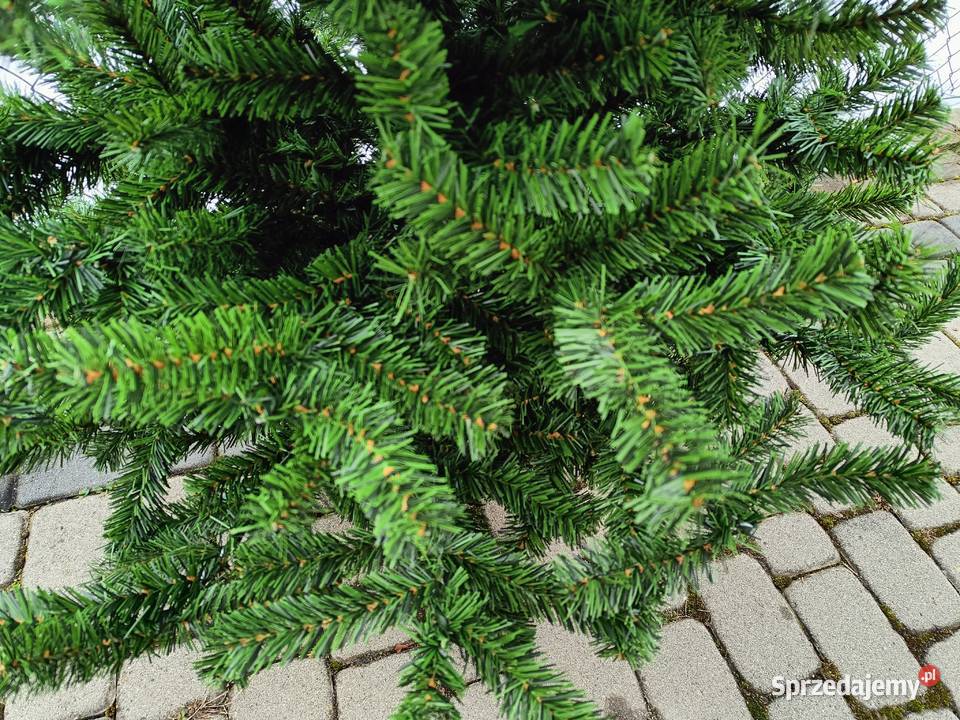 CHOINKA 180 żywa Gęsta zielona świąteczna Brzostek