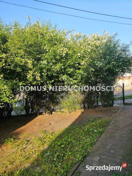 Kamienica 600m2 Piotrków Trybunalski