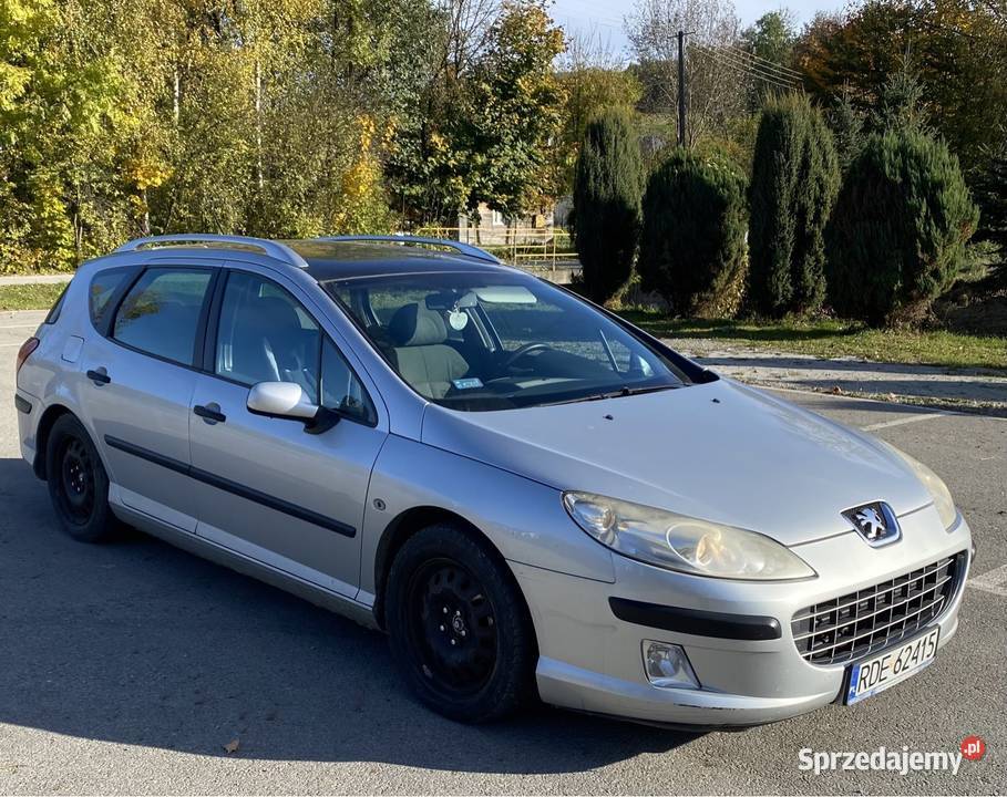 Peugeot 407 2.0 HDI 2004r