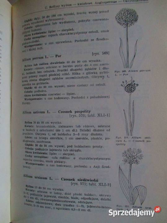 Rośliny lecznicze i przemysłowe klucz do biologia, ekologia Łódź