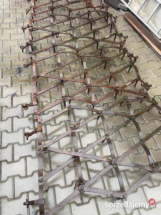 Brony polowe zębate