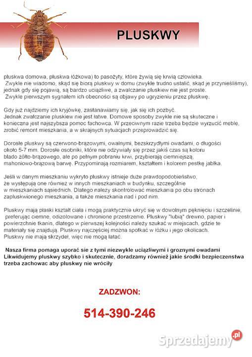 Usuwanie insektów odgrzybianie pomieszczeń Dąbrowa Górnicza