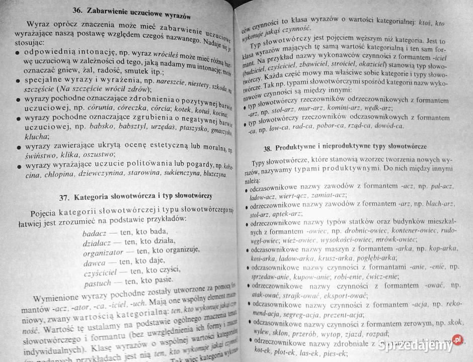 Kompendium gramatyki polskiej Mieczysław Rak Chełm