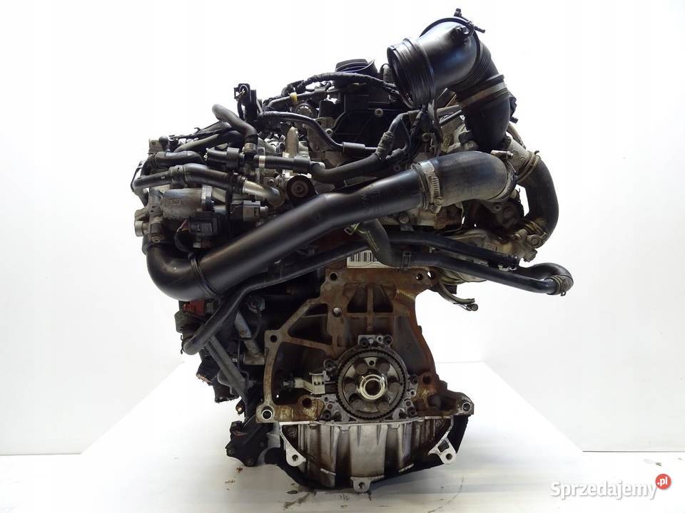 SILNIK SŁUPEK DBK 16 TDI SKODA OCTAVIA III AUDI sprzedam