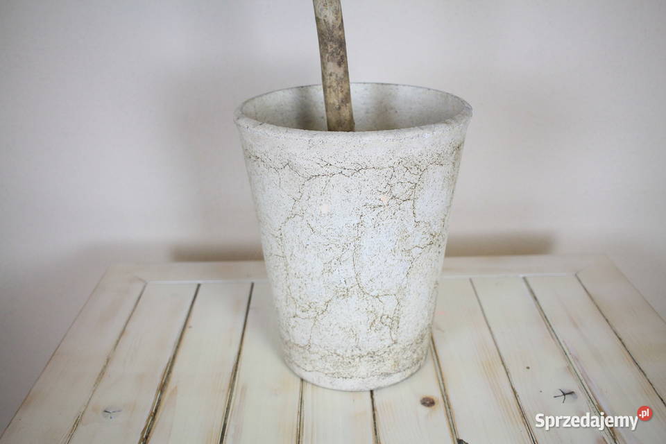 Piękne drzewko donica inny kolor Pszczyna