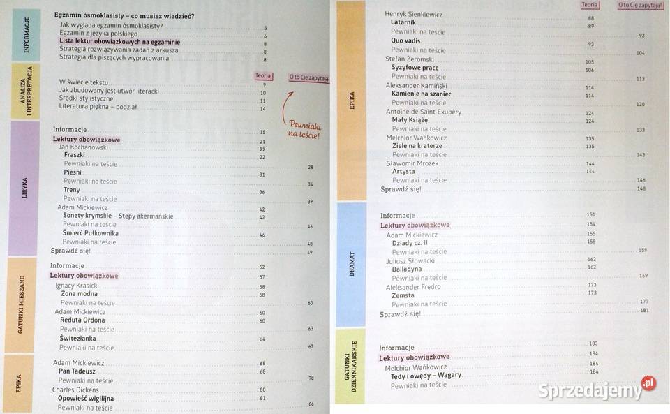 Język polski Egzamin ósmoklasisty na 100 Chełm
